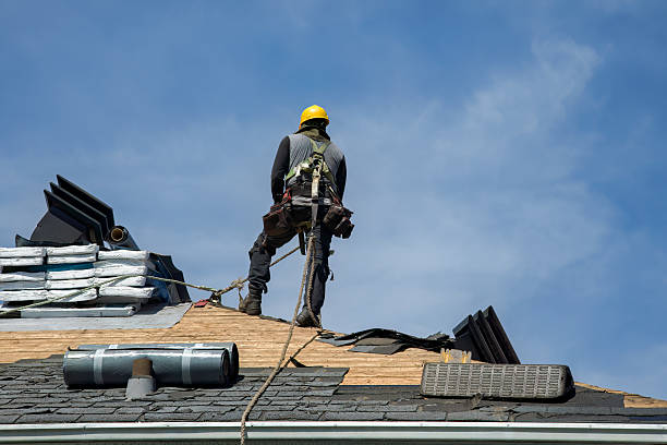Professional Storm Damage Roof Repair technician working in Utica, MS